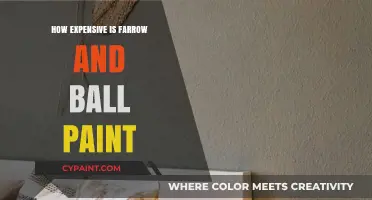 Is Farrow & Ball Paint Worth the High Price Tag?