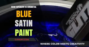 Gunmetal Blue Satin Paint: Cost, Quality, and Worth the Price?