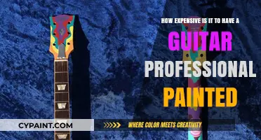 Professional Guitar Painting Costs: Budgeting for a Custom Finish