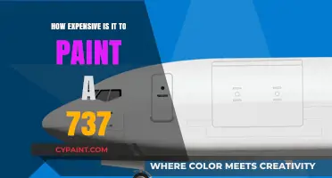 Painting a 737: Uncovering the Surprising Costs Involved