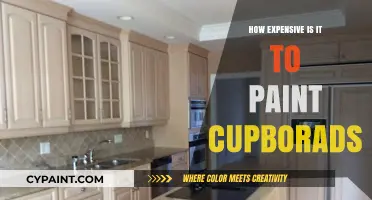Painting Cabinets: Cost Breakdown and Budget-Friendly Tips Revealed