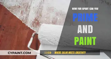 Mastering the Art of Prime and Paint: Optimal Timing for Flawless Results