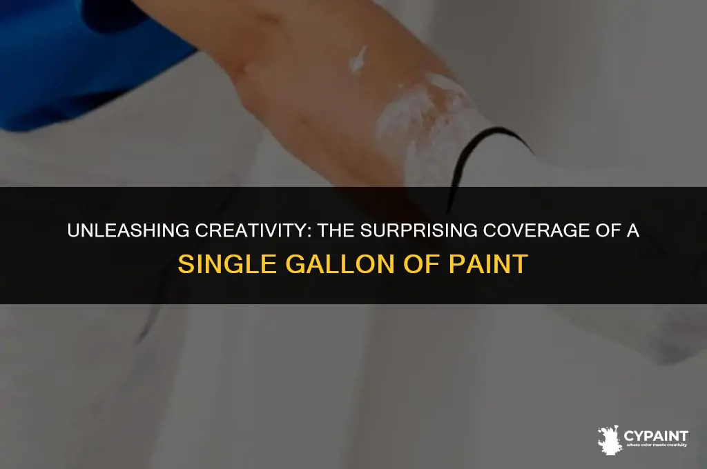 how far can a gallon of paint go