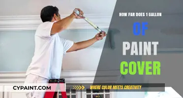 Maximize Your Paint: Coverage Tips for One Gallon Projects