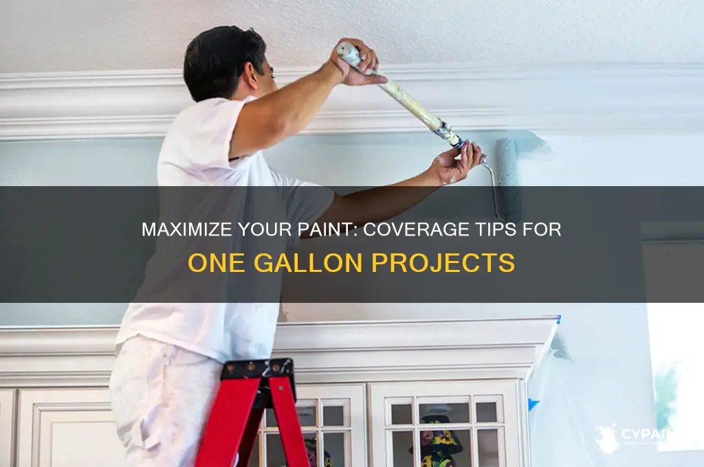 how far does 1 gallon of paint cover