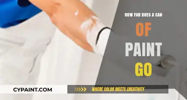 Unleashing Creativity: The Surprising Coverage of a Single Can of Paint