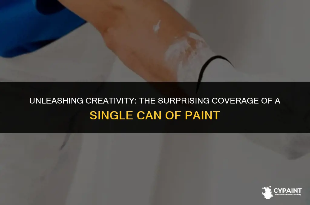 how far does a can of paint go
