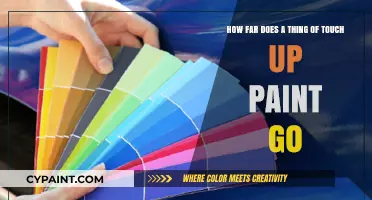 Maximizing Touch-Up Paint: Coverage, Efficiency, and Longevity Explained