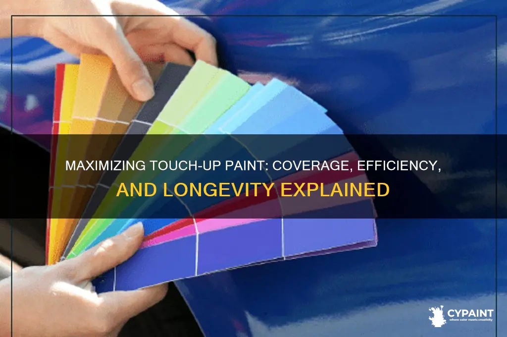 how far does a thing of touch up paint go