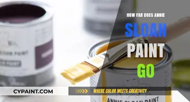 Maximizing Annie Sloan Paint: Coverage, Efficiency, and Creative Uses Explained