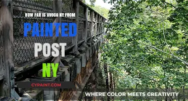 Avoca to Painted Post: How Far Is It?