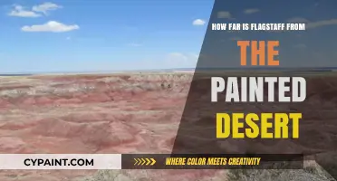 Flagstaff to Painted Desert: Distance and Travel Tips Revealed