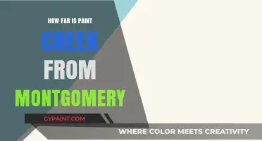 Exploring Paint Creek: Distance and Travel Tips from Montgomery