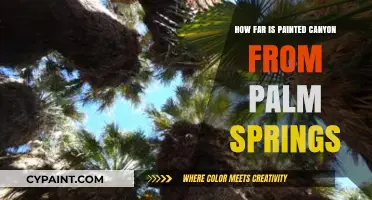 Exploring Painted Canyon: Distance and Travel Tips from Palm Springs