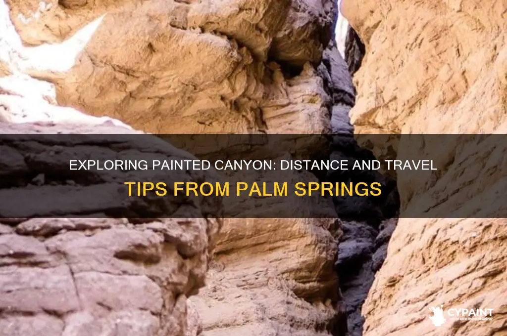 how far is painted canyon from palm springs
