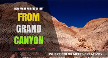 Exploring Arizona: Painted Desert to Grand Canyon Distance Guide