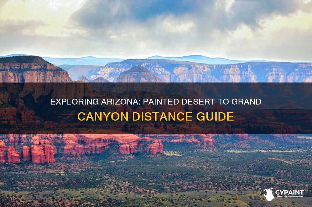 how far is painted desert from grand canyon