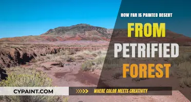Exploring Arizona: Painted Desert to Petrified Forest Distance Guide