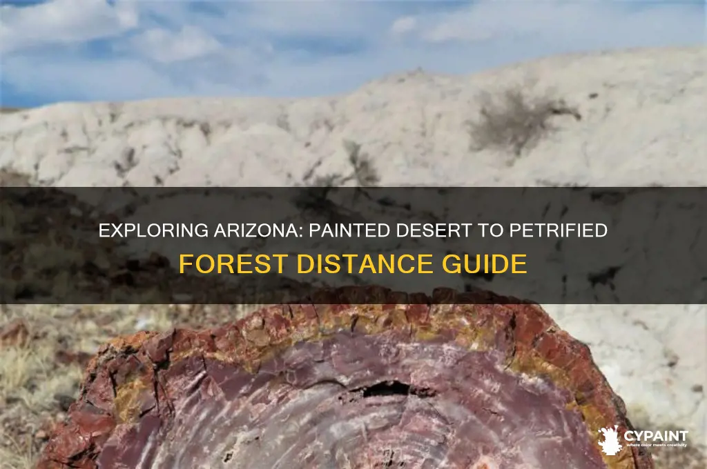 how far is painted desert from petrified forest