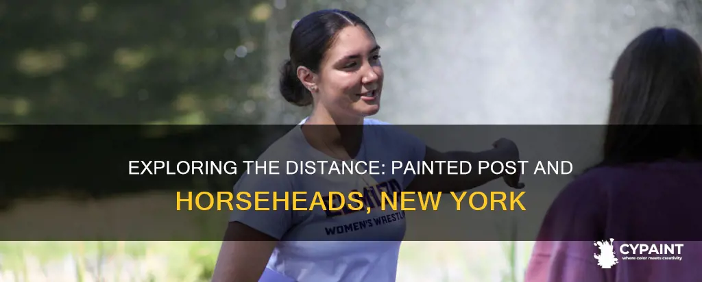how far is painted post ny from horseheads ny