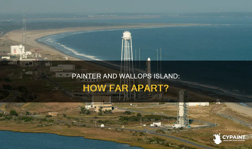 how far is painter va from wallops island va