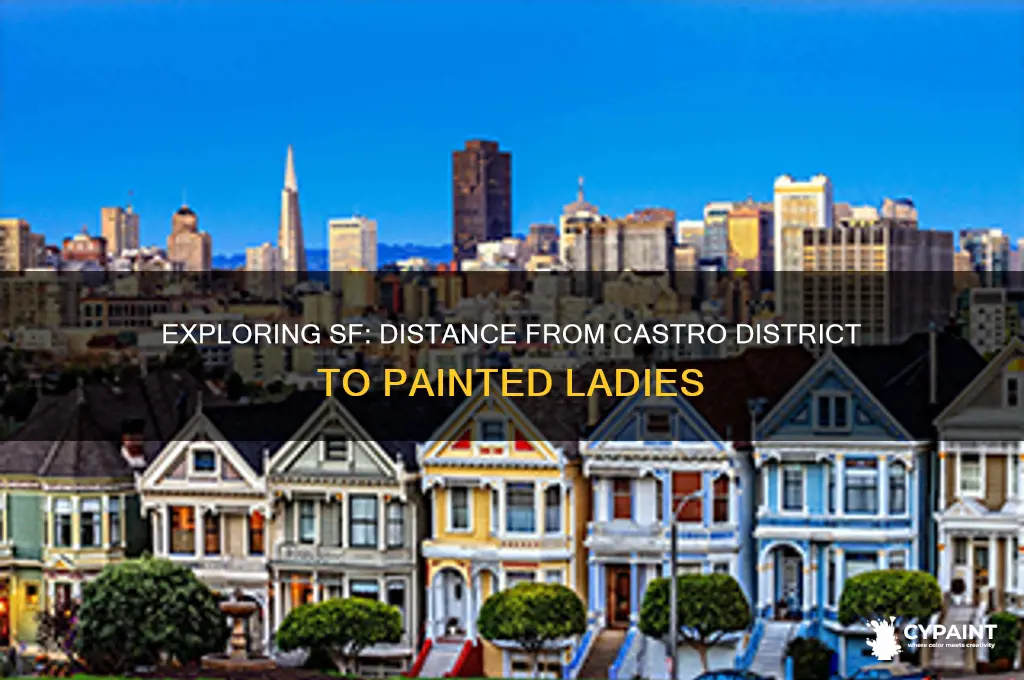 how far is the castro district from the painted ladies