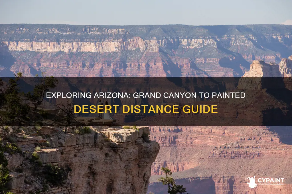 how far is the grand canyon from the painted desert
