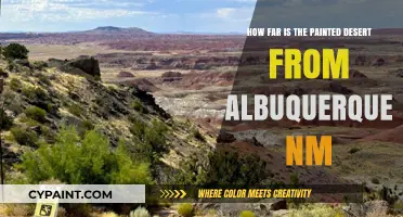 Exploring the Painted Desert: An Adventure from Albuquerque