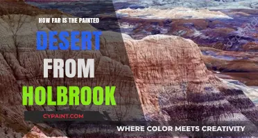 Exploring Holbrook: Distance to the Painted Desert's Stunning Scenery