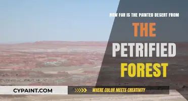 Exploring Arizona's Wonders: Painted Desert to Petrified Forest Distance