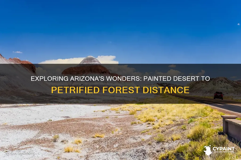 how far is the painted desert from the petrified forest