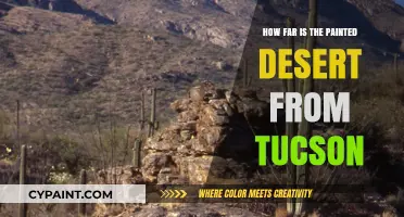 Exploring Arizona: Painted Desert's Distance from Tucson Revealed