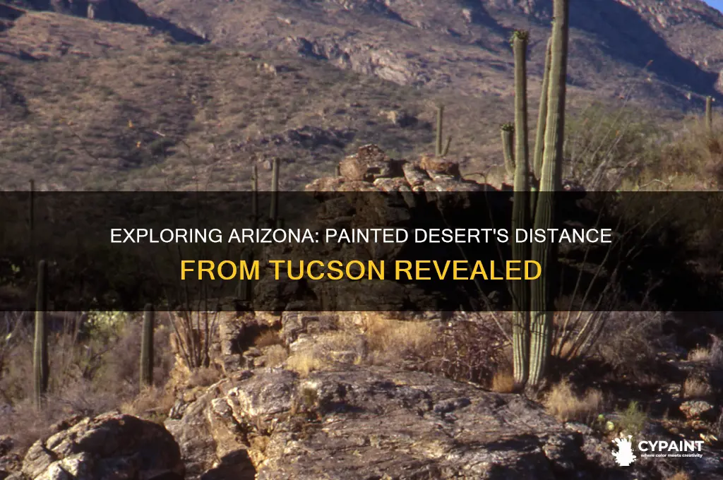 how far is the painted desert from tucson