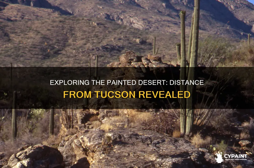 how far is the painted desert from tuson