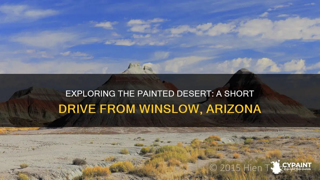 how far is the painted desert from winslow arizona