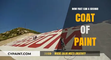 Speeding Up the Process: Applying a Second Coat of Paint