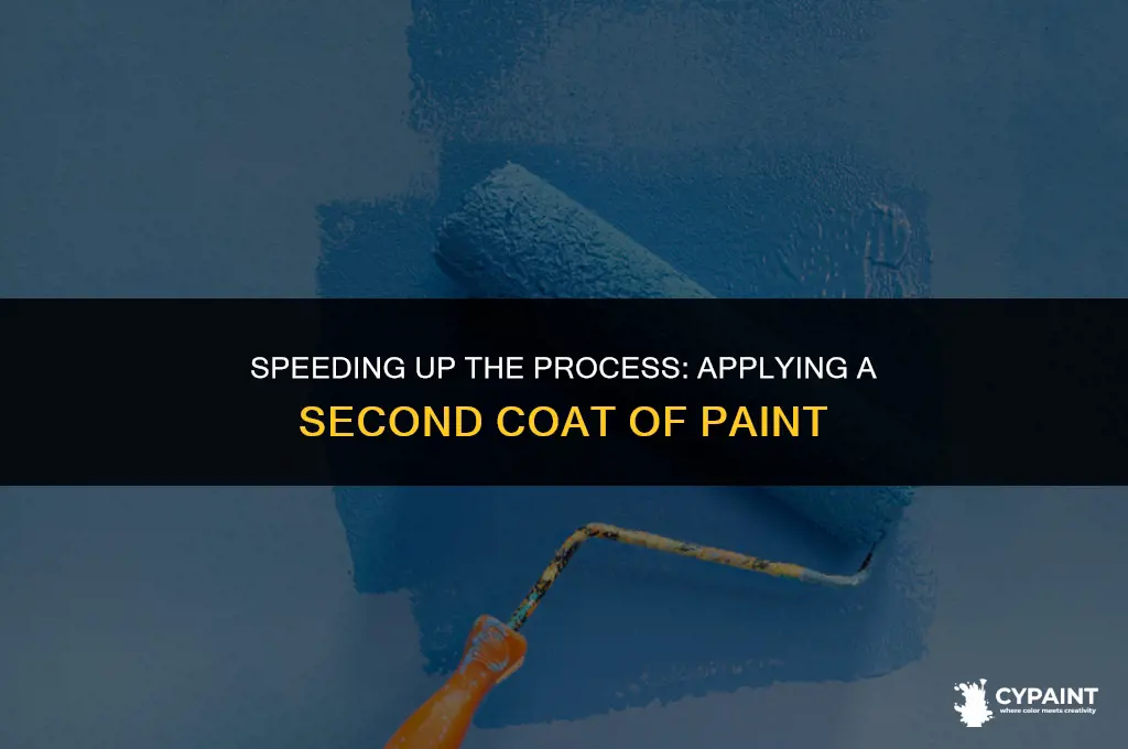 how fast can a second coat of paint