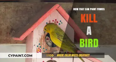 Deadly Vapors: The Lethal Threat of Paint Fumes to Birds