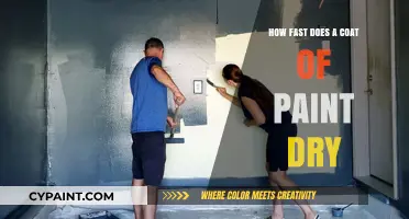 Quick Dry Guide: How Fast Does Paint Actually Dry?