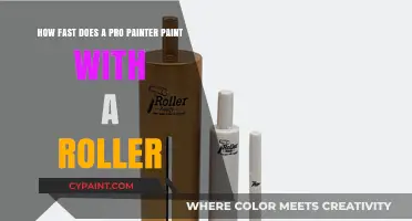 Pro Painter Roller Speed: How Fast Can They Really Paint?