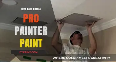 Pro Painter Speed Secrets: How Quickly Do They Paint?