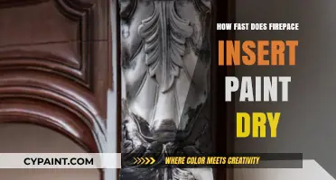 Firepace Insert Paint Drying Time: How Fast Does It Dry?