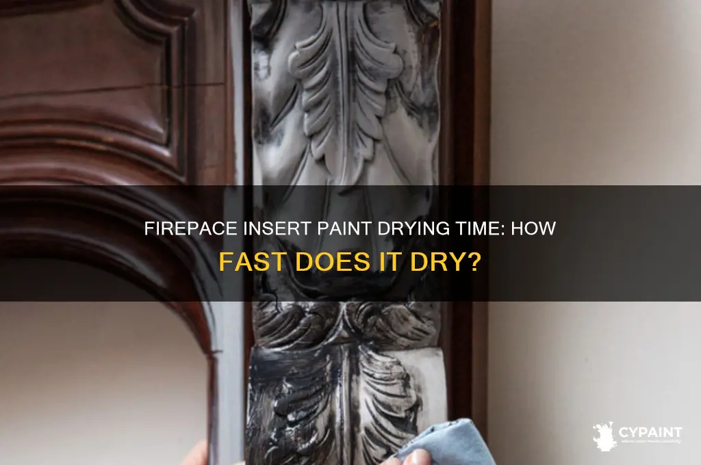 how fast does firepace insert paint dry