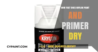 Krylon Paint and Primer Drying Time: Quick Guide for Efficient Projects