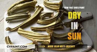Sun-Drying Paint: Factors Affecting Quick Drying Time in Sunlight