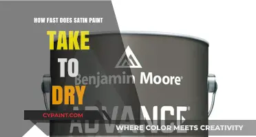 Quick Guide: Satin Paint Drying Time and Factors Affecting It