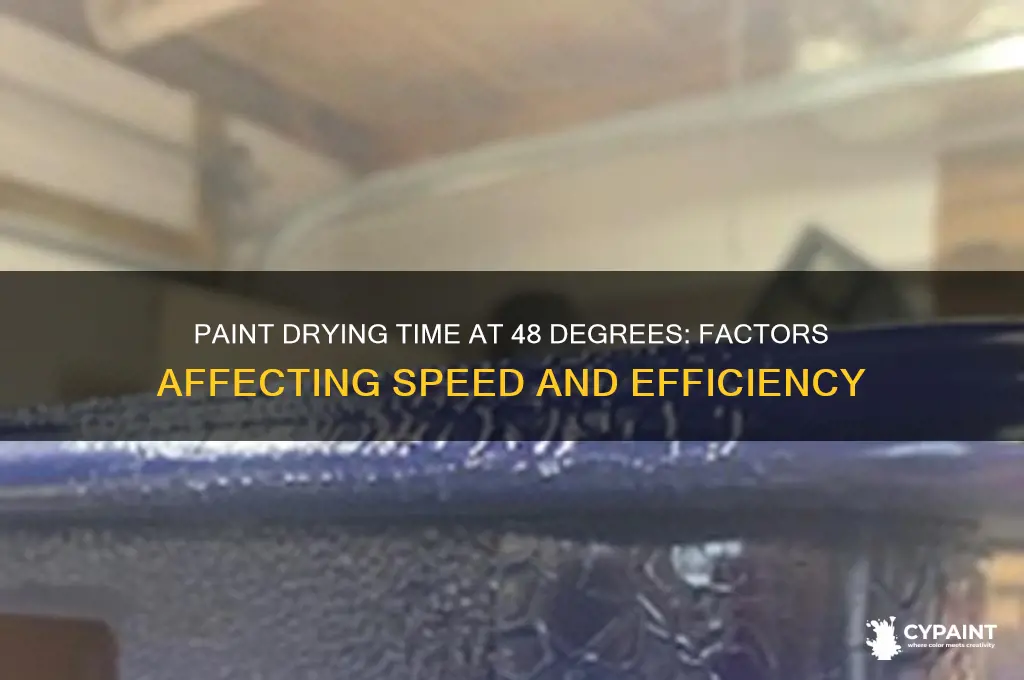 how fast eill paint dry at 48 degrees