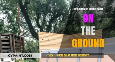 From Chaos to Canvas: Mastering Ground Paint Flinging Techniques