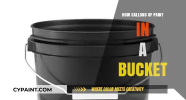 How Many Gallons of Paint Fit in a Standard Bucket?