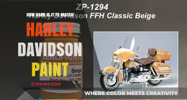 Matching Harley Davidson Paint: An Easy or Tough Ride?